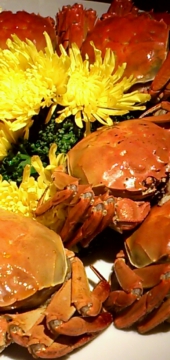 2012-11-07 19.42.12.jpg